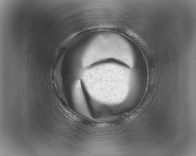 X0000072531169200608111738