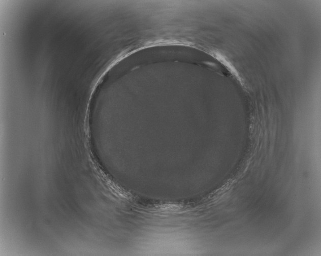 X0000072531173200608111738