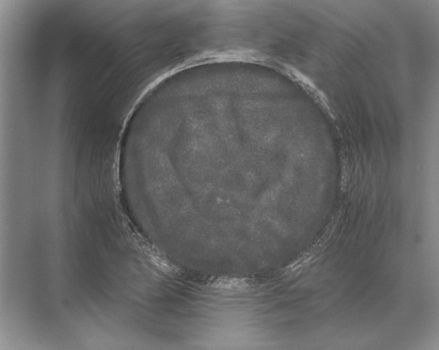 X0000072531174200608111738