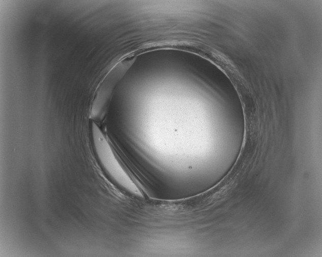 X0000072531177200608111738