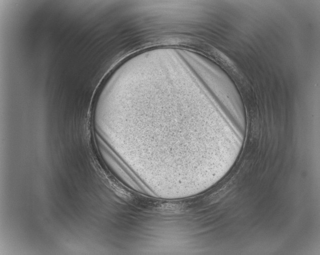 X0000072531178200608111738