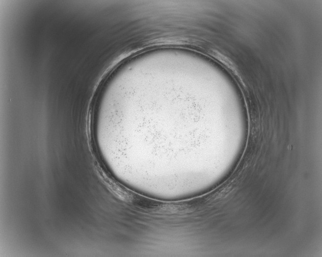 X0000072531179200608111738