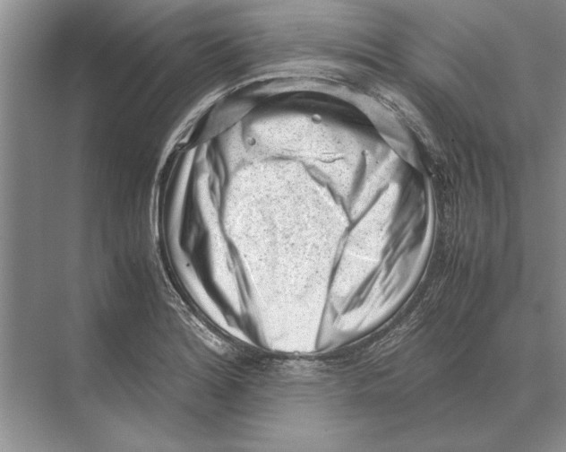 X0000072531180200608111738