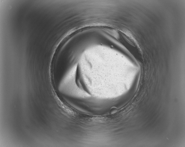 X0000072531181200608111738