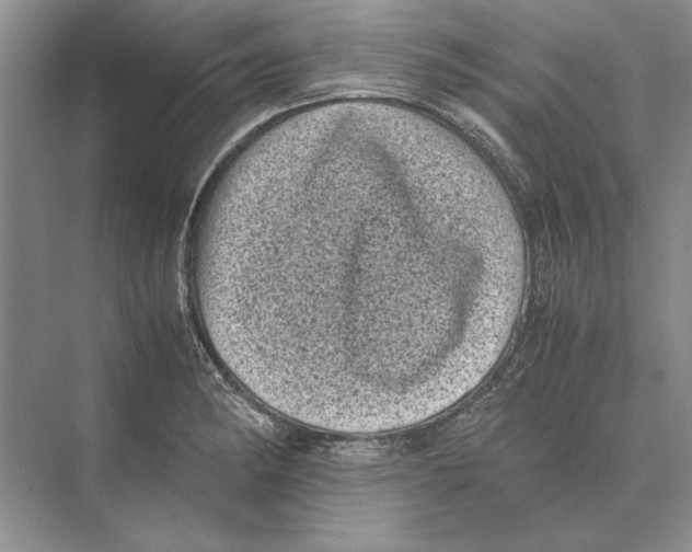 X0000072531182200608111738