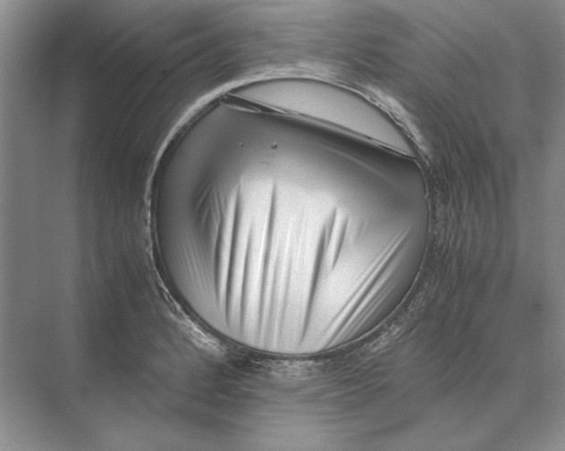 X0000072531184200608111738