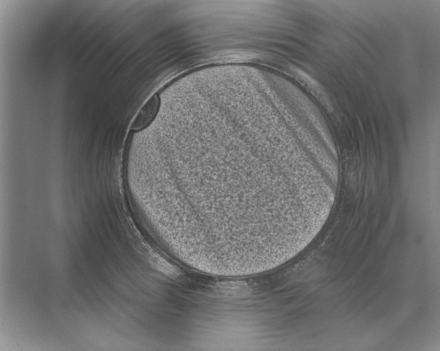 X0000072531186200608111738