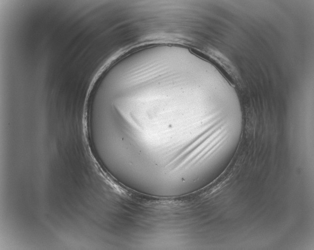 X0000072531188200608111738