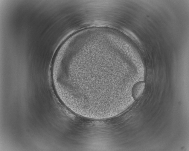 X0000072531190200608111738