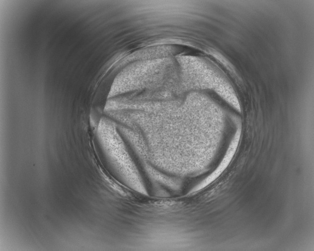 X0000072531193200608111738