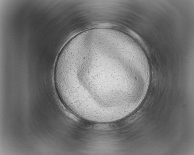 X0000072531194200608111738