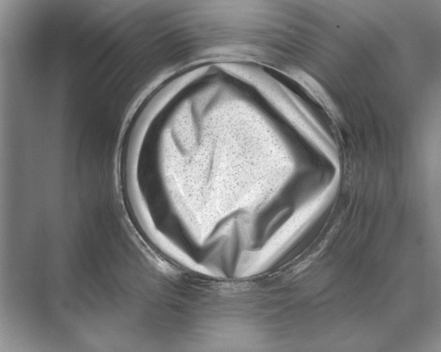 X0000072531196200608111738