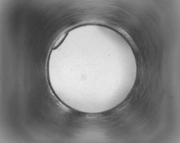 X0000072531199200608111738