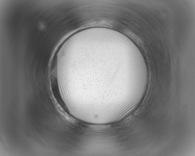 X0000072531200200608111738