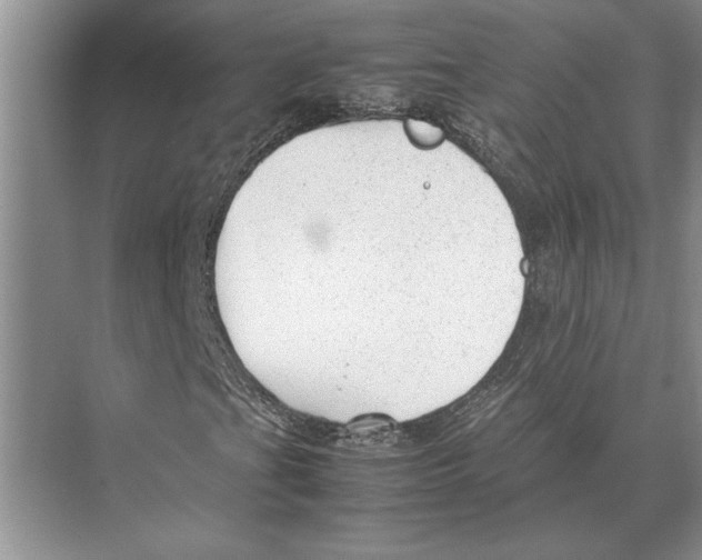 X0000072531201200608111737