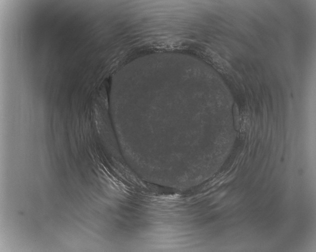 X0000072531202200608111737