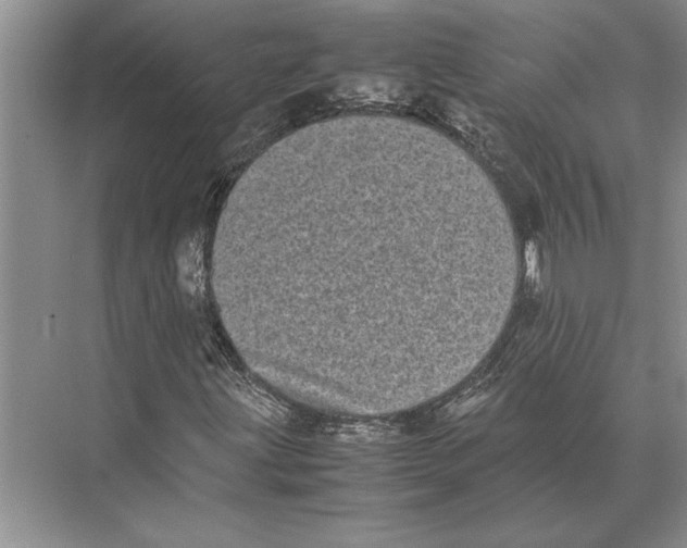 X0000072531203200608111737