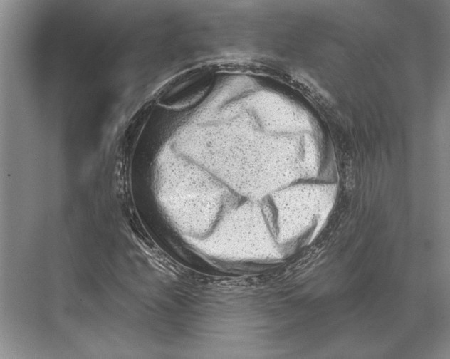 X0000072531208200608111737