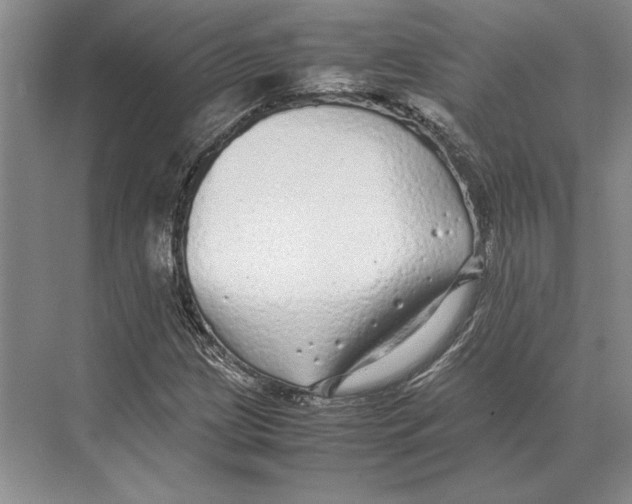 X0000072531209200608111737