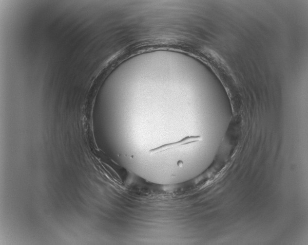 X0000072531210200608111737