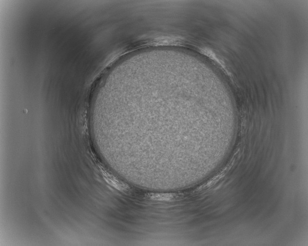 X0000072531211200608111737