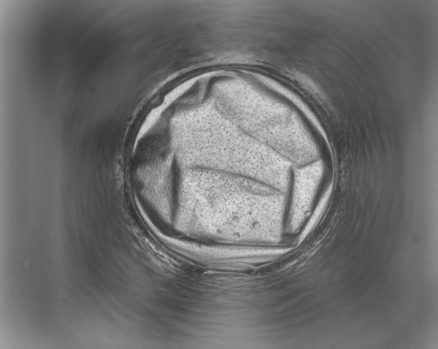 X0000072531212200608111737