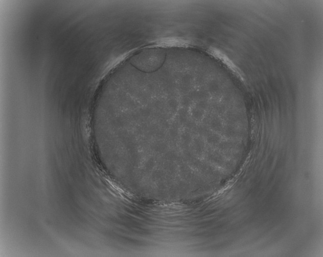 X0000072531213200608111737