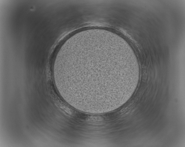 X0000072531215200608111737