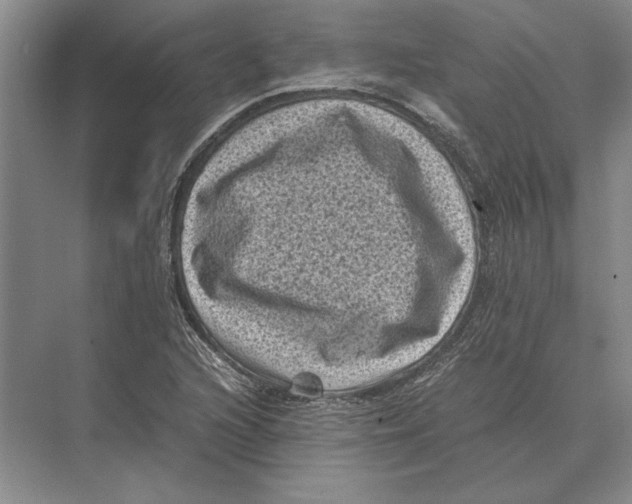 X0000072531216200608111737