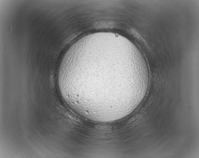 X0000072531217200608111737