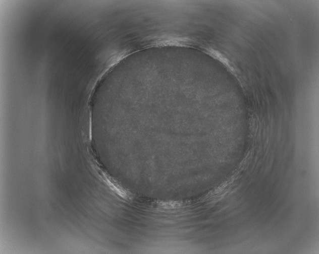 X0000072531219200608111737