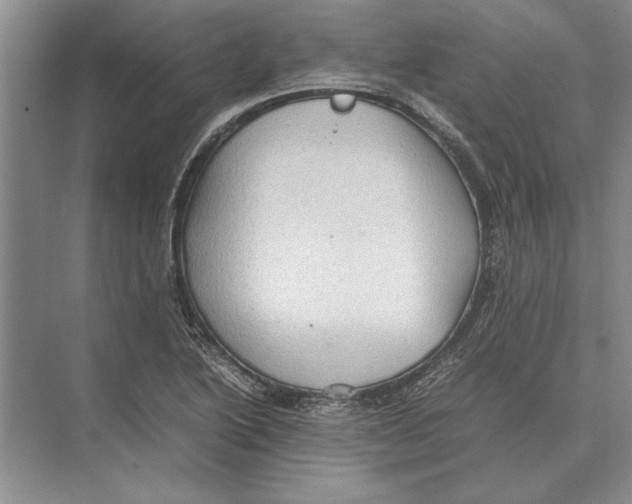 X0000072531222200608111737