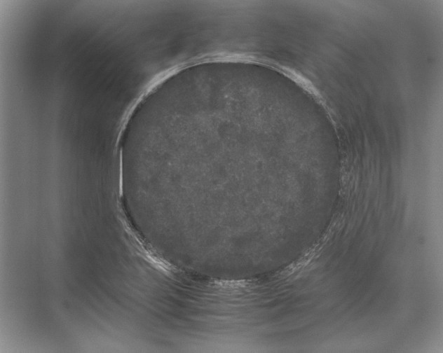 X0000072531223200608111737