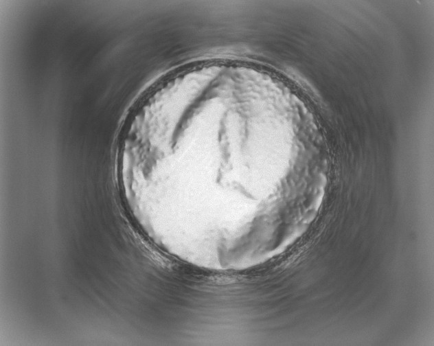 X0000072531224200608111738