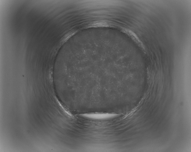 X0000072531225200608111738