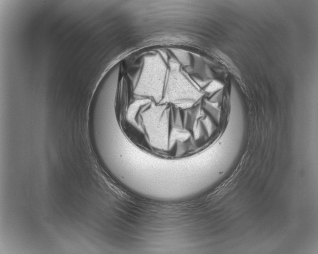 X0000072531226200608111738