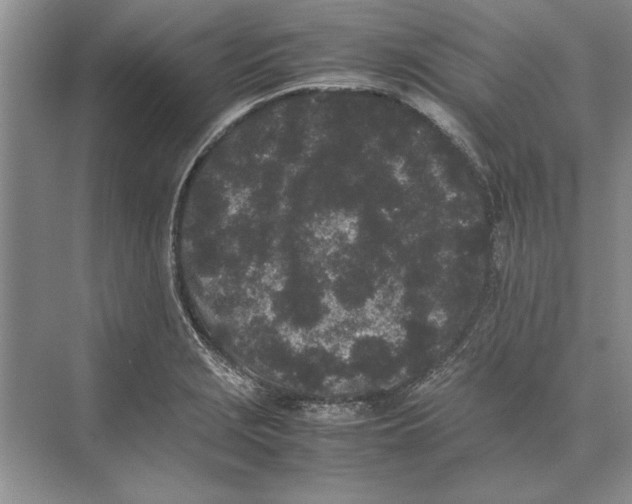 X0000072531229200608111738