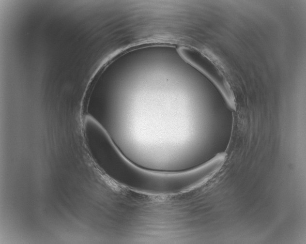 X0000072531230200608111738