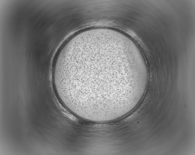 X0000072531232200608111738