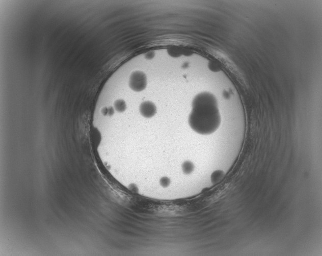 X0000072531233200608111738