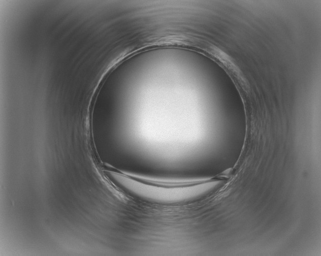 X0000072531234200608111738