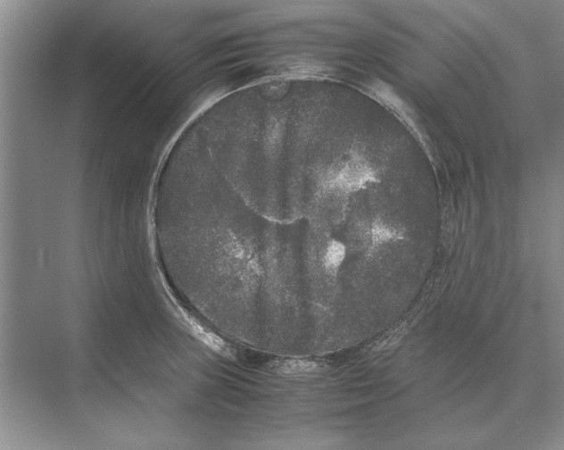 X0000072531235200608111738