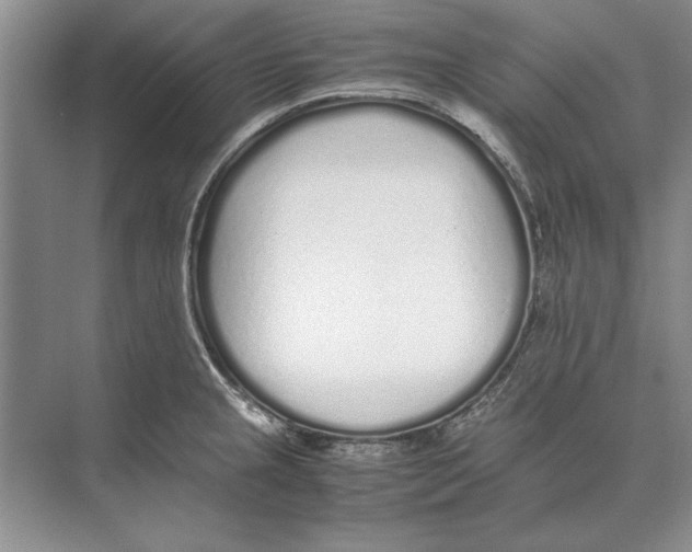 X0000072531237200608111738