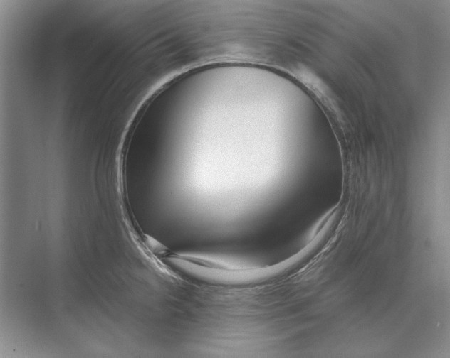 X0000072531238200608111738