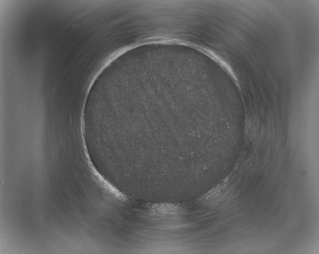 X0000072531239200608111738