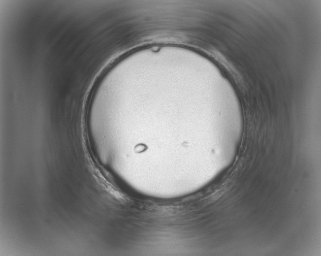 X0000072531240200608111738