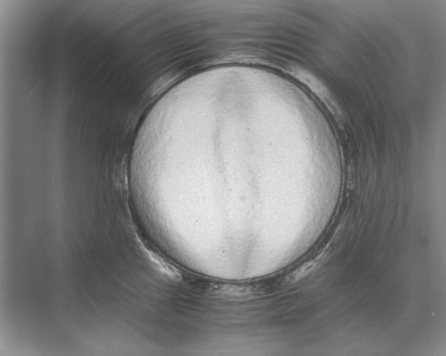 X0000072531241200608111738