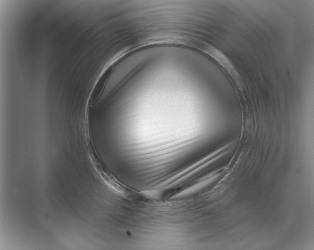 X0000072531242200608111738