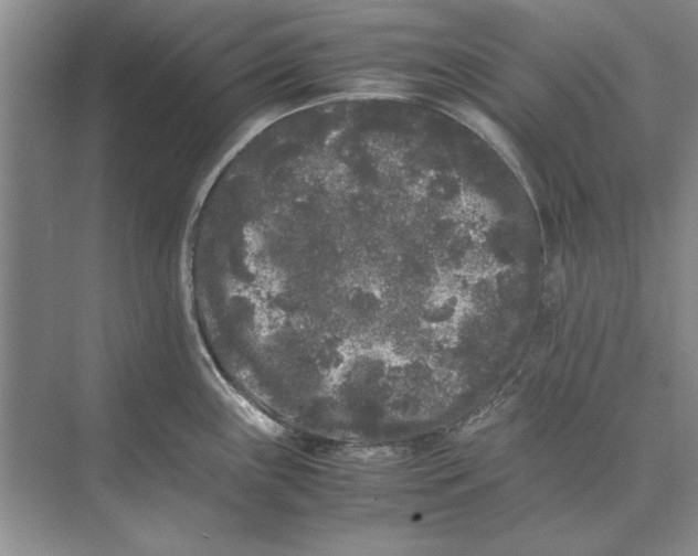 X0000072531243200608111738