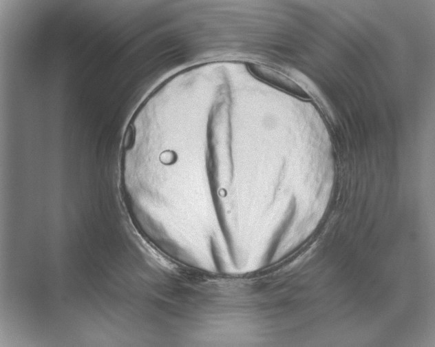 X0000072531244200608111738